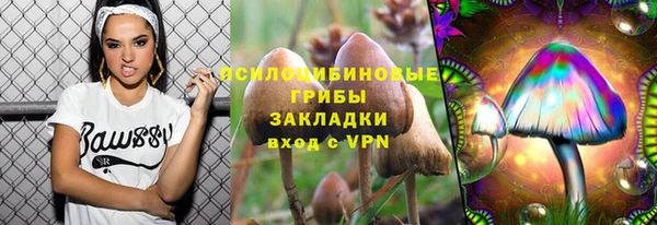spice Арсеньев