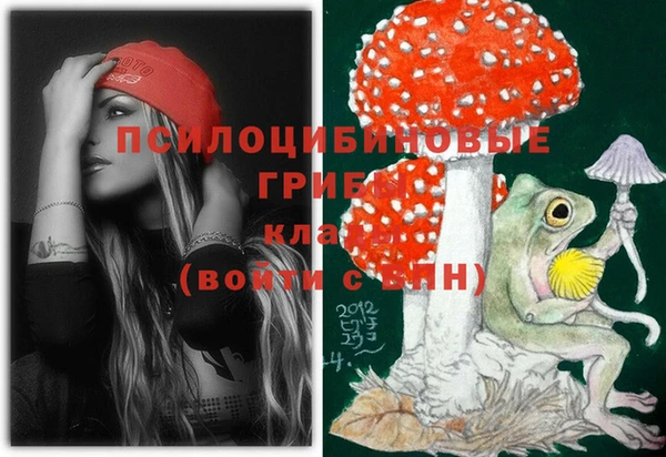 spice Арсеньев